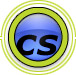 Consulting Services