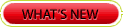 What's New with NeonZ Visual Effects and Animation