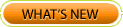 What's New with NeonZ IT Services