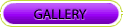 NeonZ Training Services Gallery