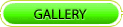 Visit the Internet Gallery