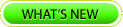 What's New with NeonZ Internet Development Services